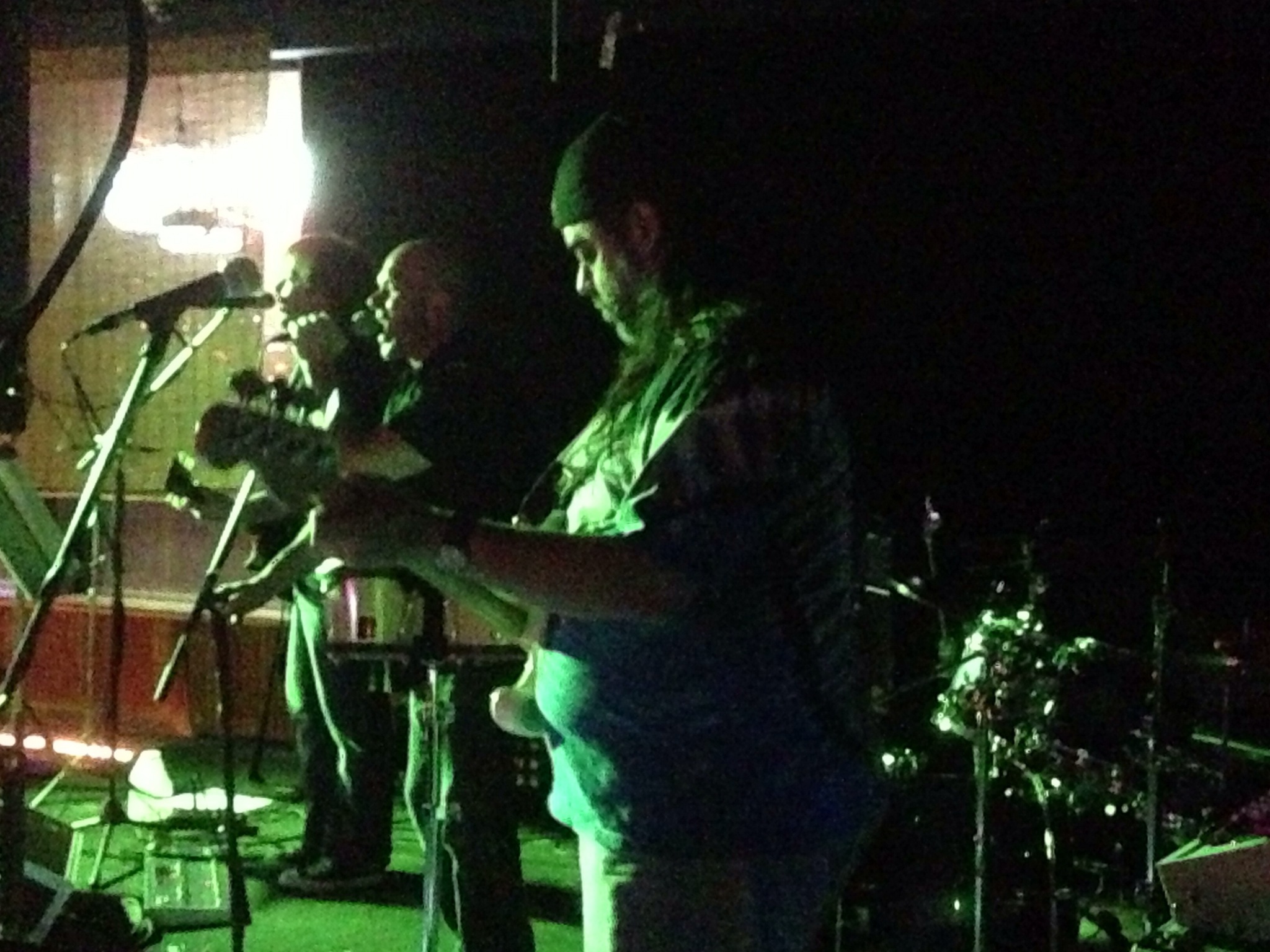 Troubadour Retrievers  