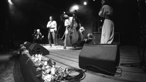 Party Band Kansas City: The Lively Musical Group In Kansas City Brings Energy And Excitement To Every Celebration  